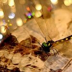 Article teaser image