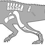 Article teaser image