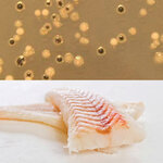 Article teaser image