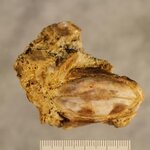 Article teaser image