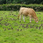 Article teaser image