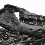 Article teaser image