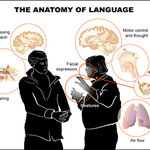 Article teaser image