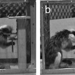 Article teaser image