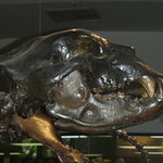 Article teaser image