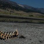 Article teaser image