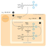 Article teaser image