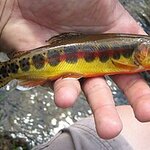 Article teaser image