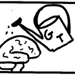 Article teaser image