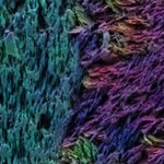 Article teaser image