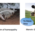 Article teaser image