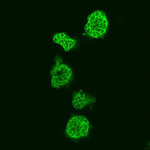 Article teaser image