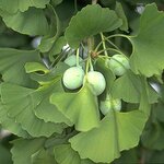 Article teaser image