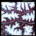 Article teaser image