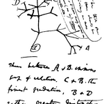 Article teaser image