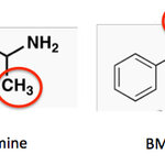 Article teaser image