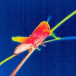 Article teaser image