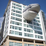 Article teaser image