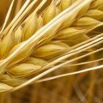 Article teaser image