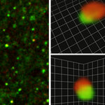 Article teaser image