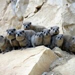 Article teaser image