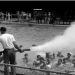 Article teaser image