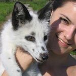 Article teaser image