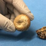 Article teaser image