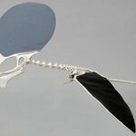 Article teaser image