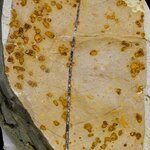 Article teaser image