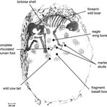 Article teaser image