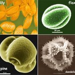 Article teaser image