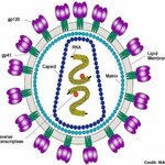 Article teaser image