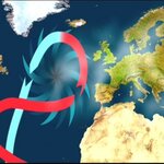 Article teaser image