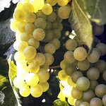 Article teaser image