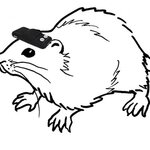 Article teaser image