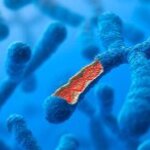 Article teaser image