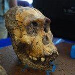 Article teaser image