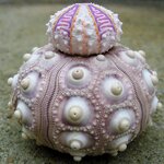 Article teaser image