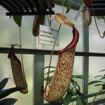 Article teaser image