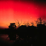 Article teaser image