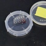 Article teaser image