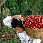 Article teaser image