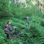 Article teaser image