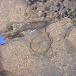 Article teaser image