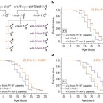 Article teaser image