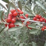 Article teaser image