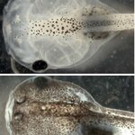 Article teaser image