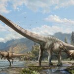 Article teaser image