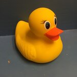 Article teaser image